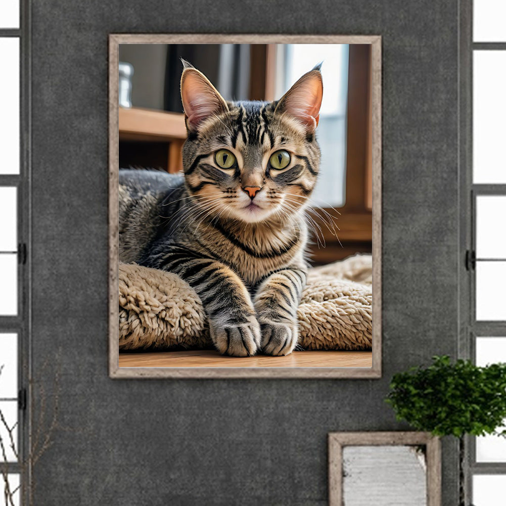 Cat - Full Round Drill Diamond Painting 40*50CM