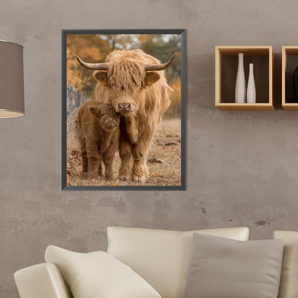 Scottish Highland Cattle - Full Round Drill Diamond Painting 30*40CM