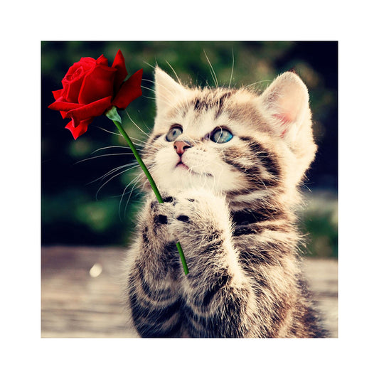 Cat - Special Shaped Drill Diamond Painting 30*30CM