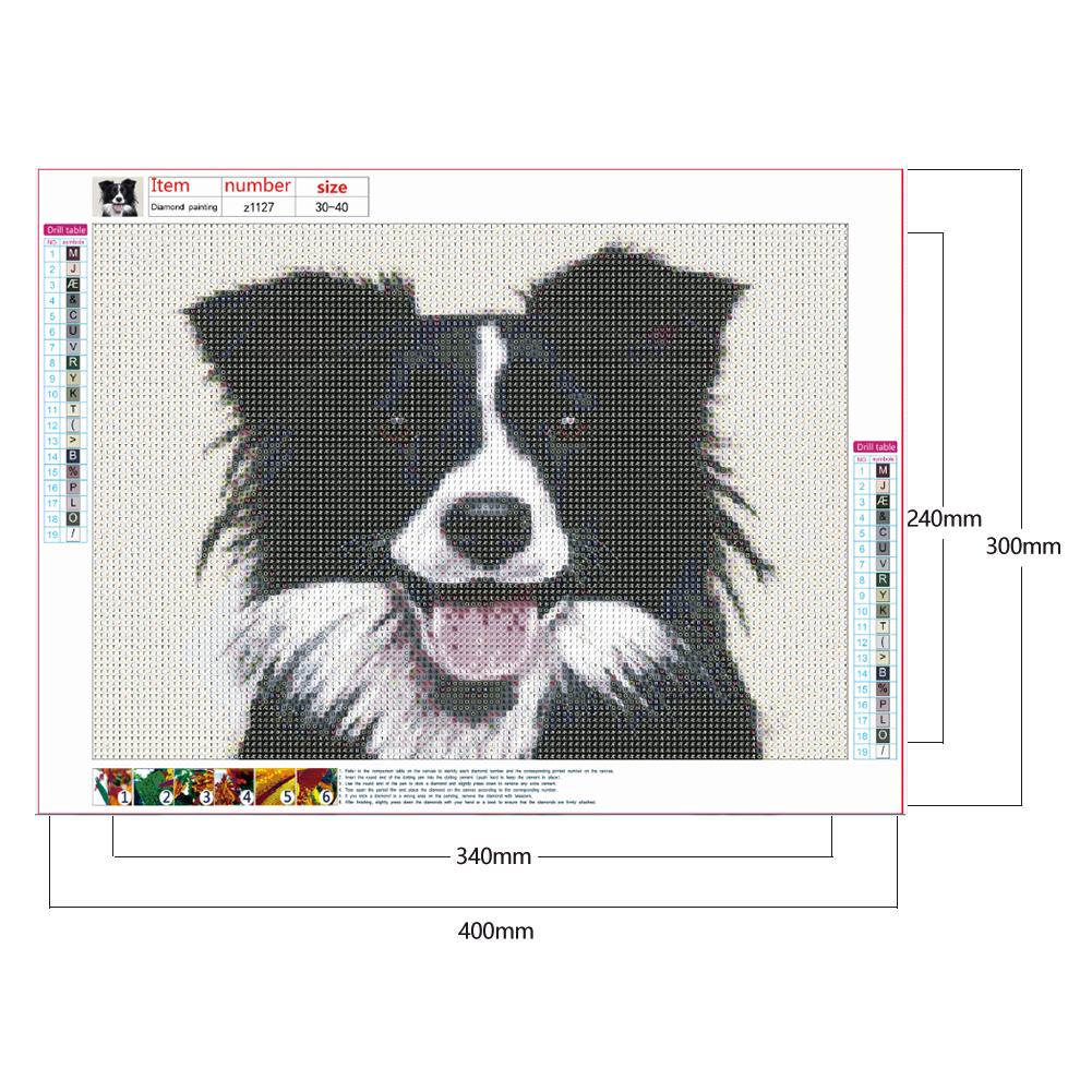Dog - Full Round Drill Diamond Painting 30*40CM