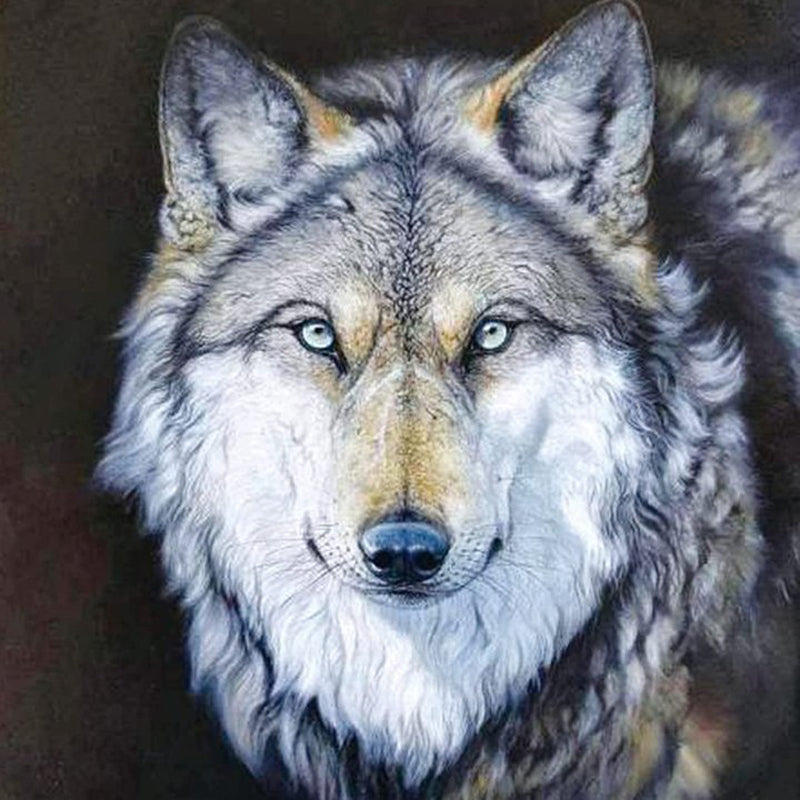 Wolf 30*30CM(Canvas) Full Round Drill Diamond Painting
