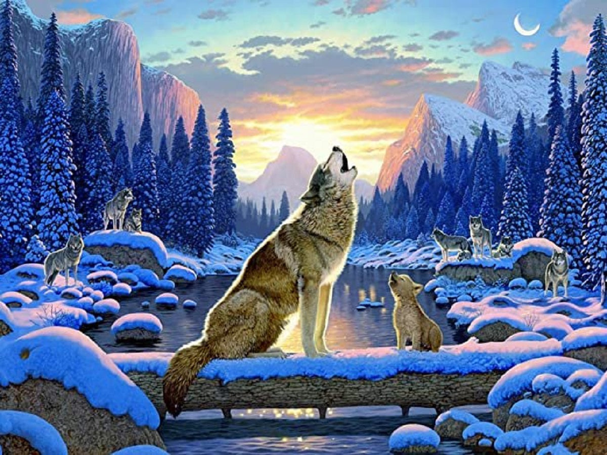 Snow Wolf - Full Round Drill Diamond Painting 40*30CM