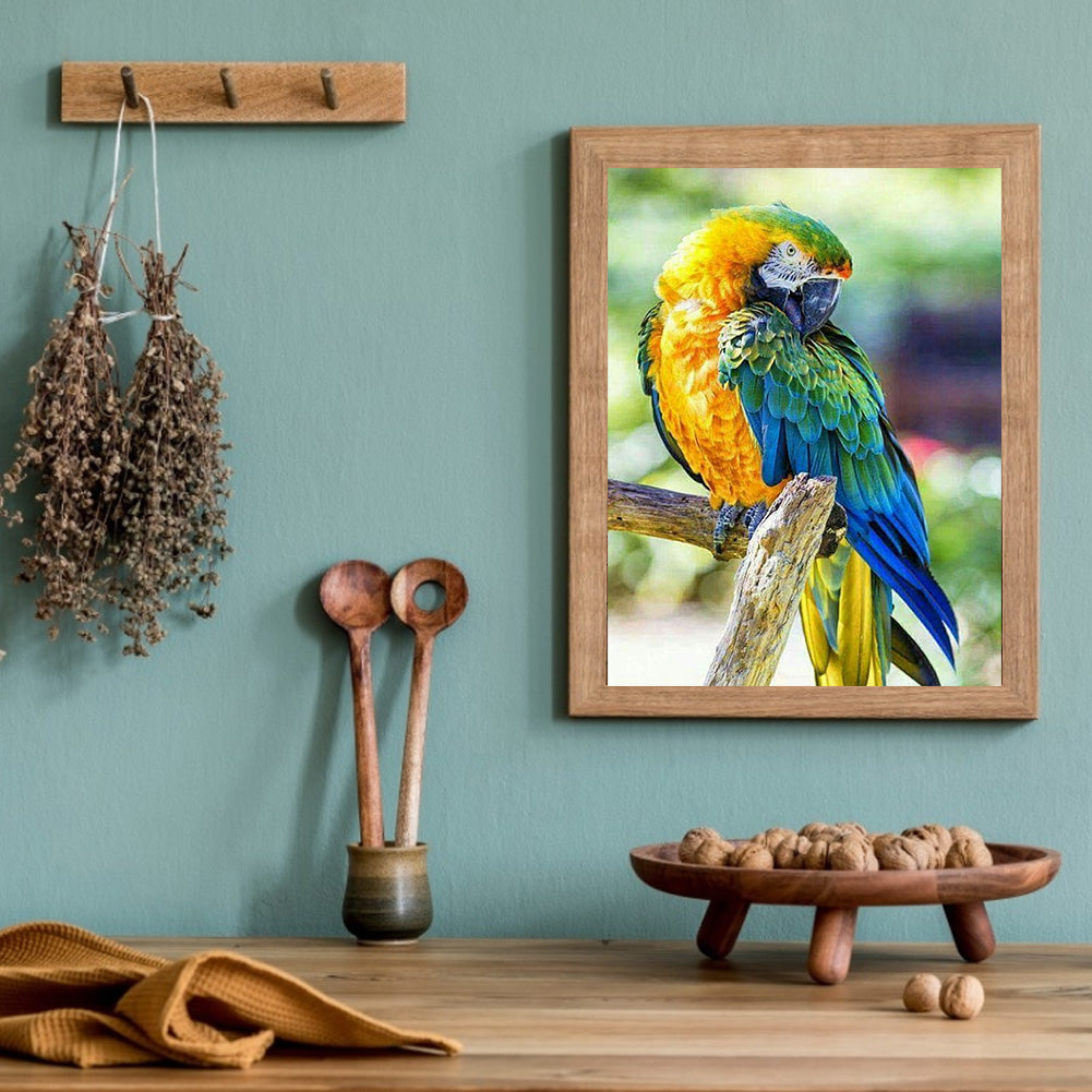 Parrot - Full Round Drill Diamond Painting 40*50CM