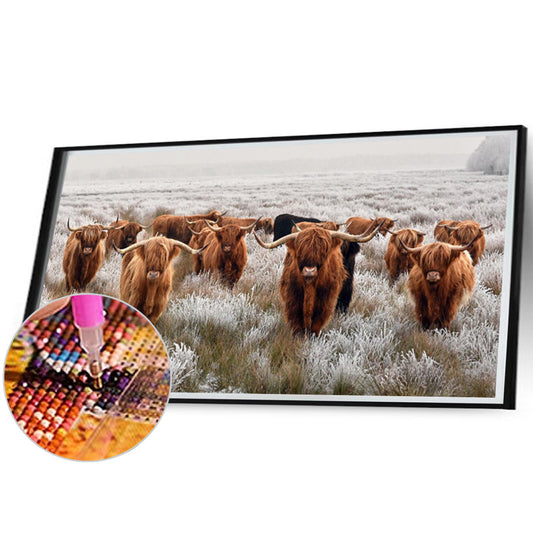 Highland Yak - Full Round Drill Diamond Painting 80*40CM