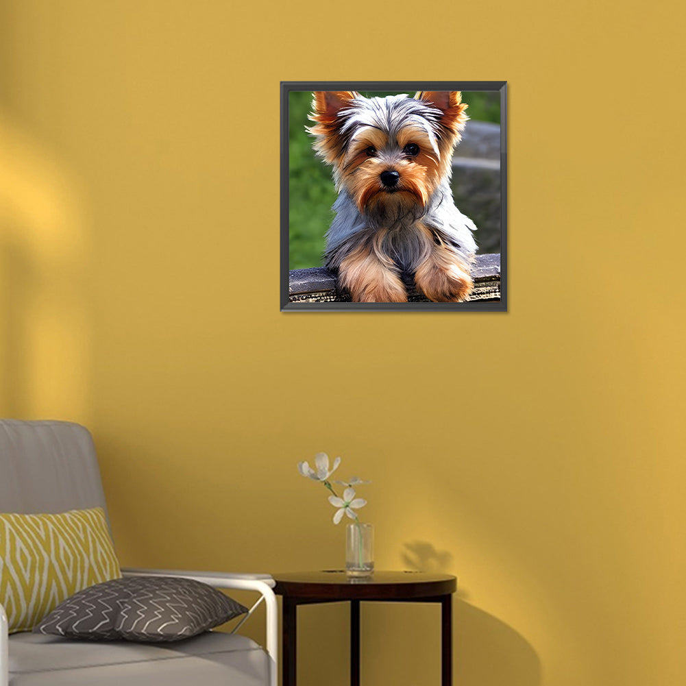 Yorkshire Terrier - Full Round Drill Diamond Painting 30*30CM