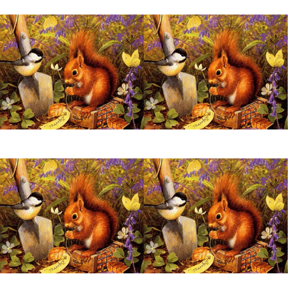 Squirrels And Birds - Full Round Drill Diamond Painting 50*40CM