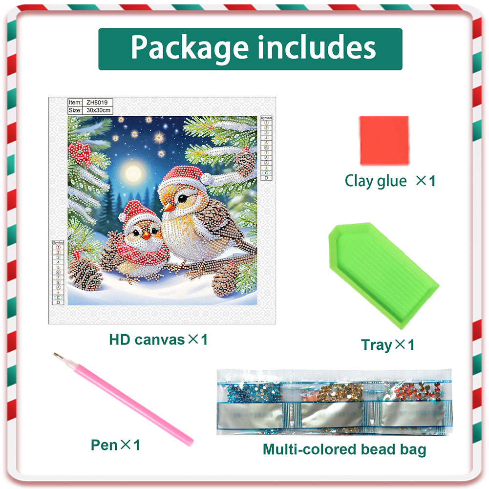 Christmas Bird - Special Shaped Drill Diamond Painting 30*30CM