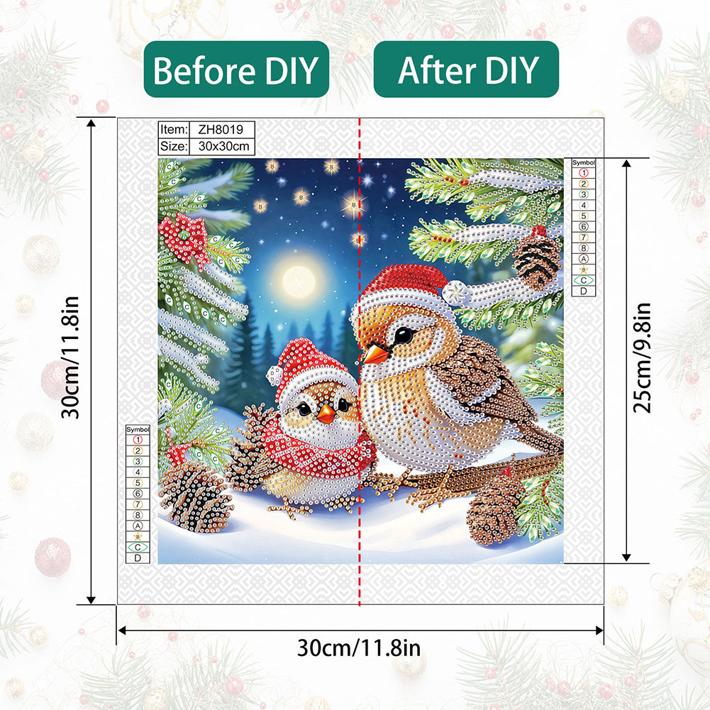 Christmas Bird - Special Shaped Drill Diamond Painting 30*30CM