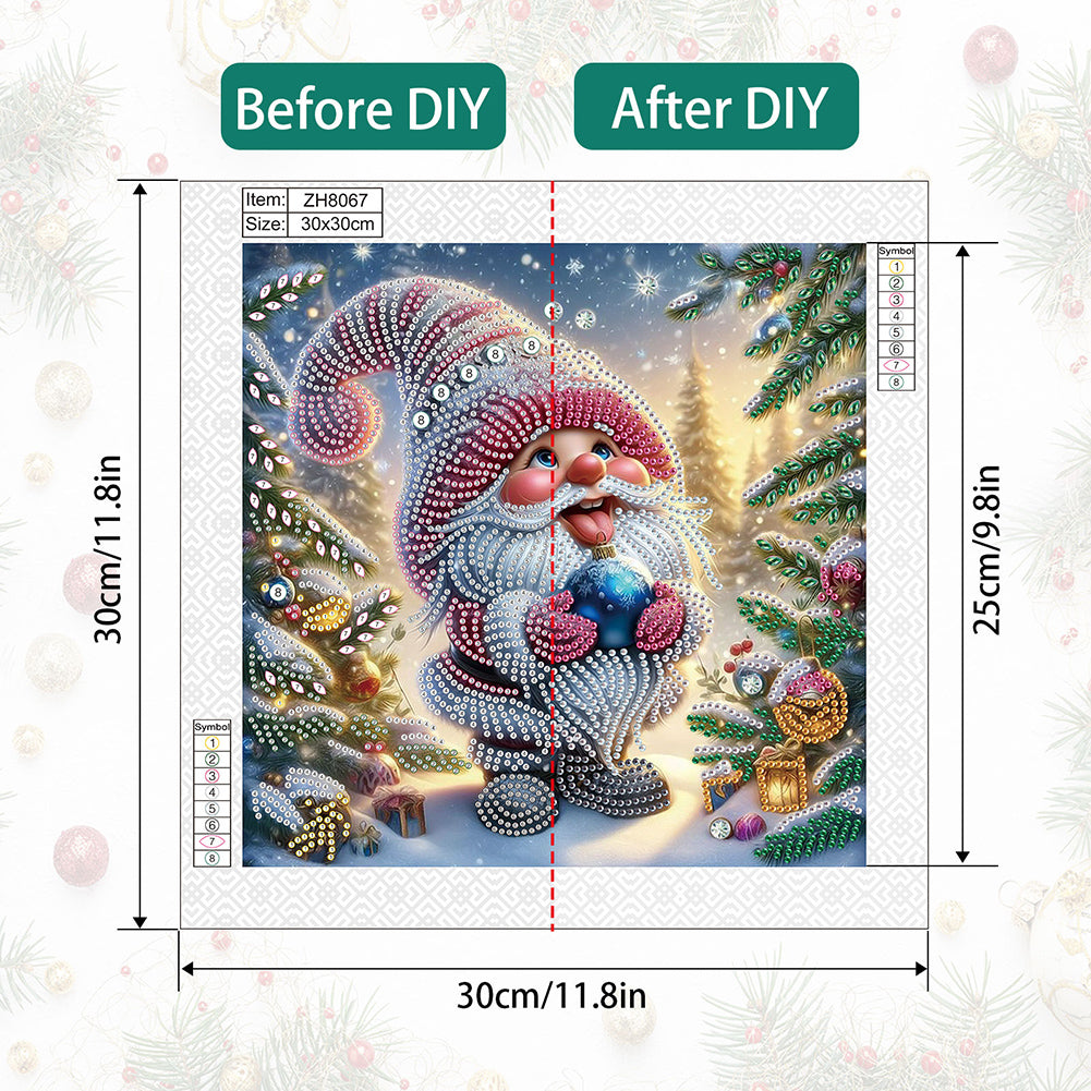 Christmas Gnome - Partial Special-Shaped Drill Diamond Painting 30*30CM