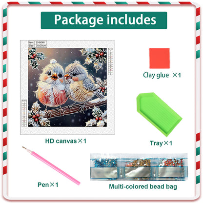 Christmas Bird - Partial Special-Shaped Drill Diamond Painting 30*30CM