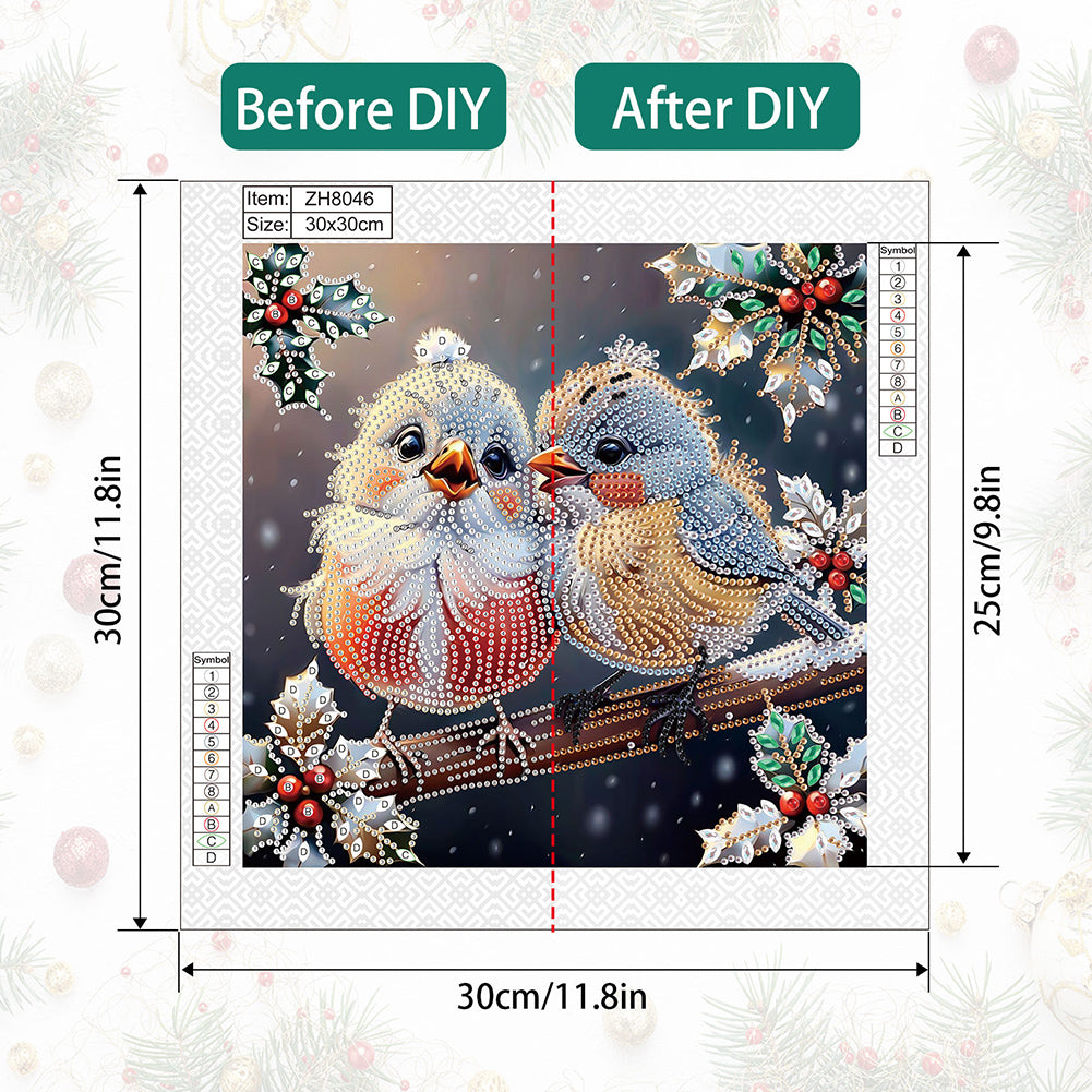 Christmas Bird - Partial Special-Shaped Drill Diamond Painting 30*30CM