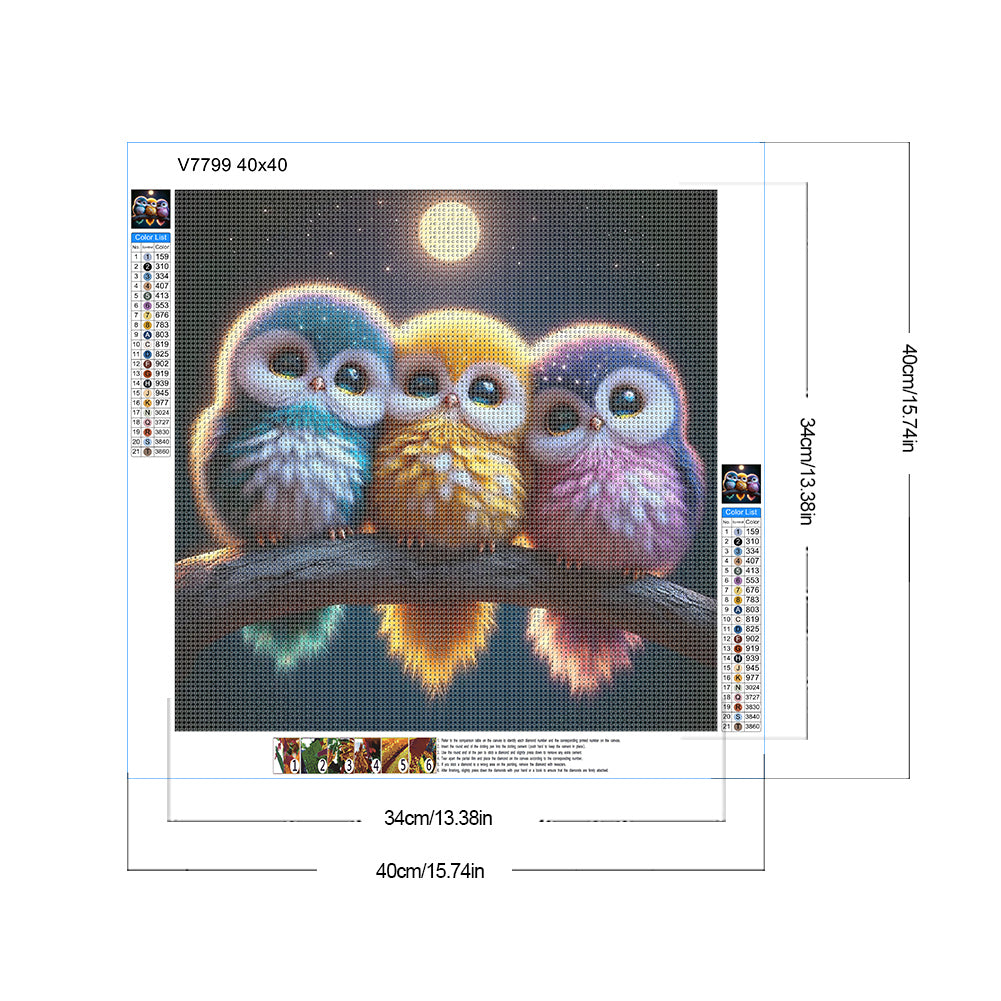Three Owls - Full Round Drill Diamond Painting 40*40CM