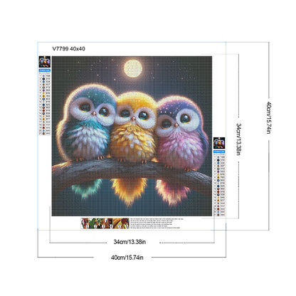 Three Owls - Full Round Drill Diamond Painting 40*40CM