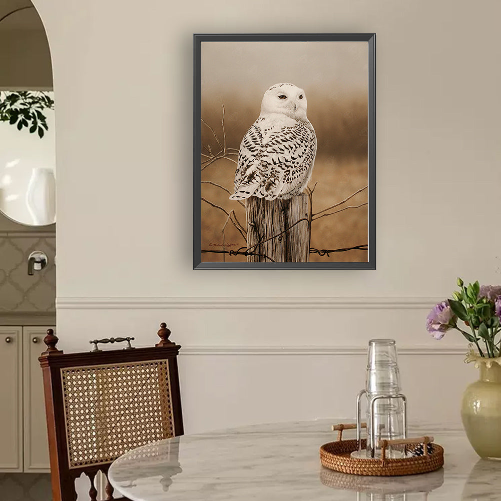 Owl - Full Round Drill Diamond Painting 30*40CM