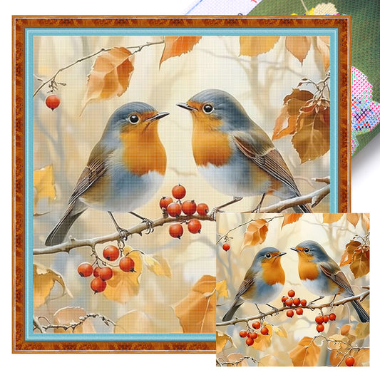Two Robins - 11CT Stamped Cross Stitch 40*40CM