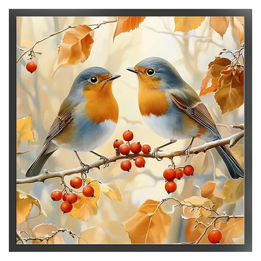 Two Robins - 11CT Stamped Cross Stitch 40*40CM