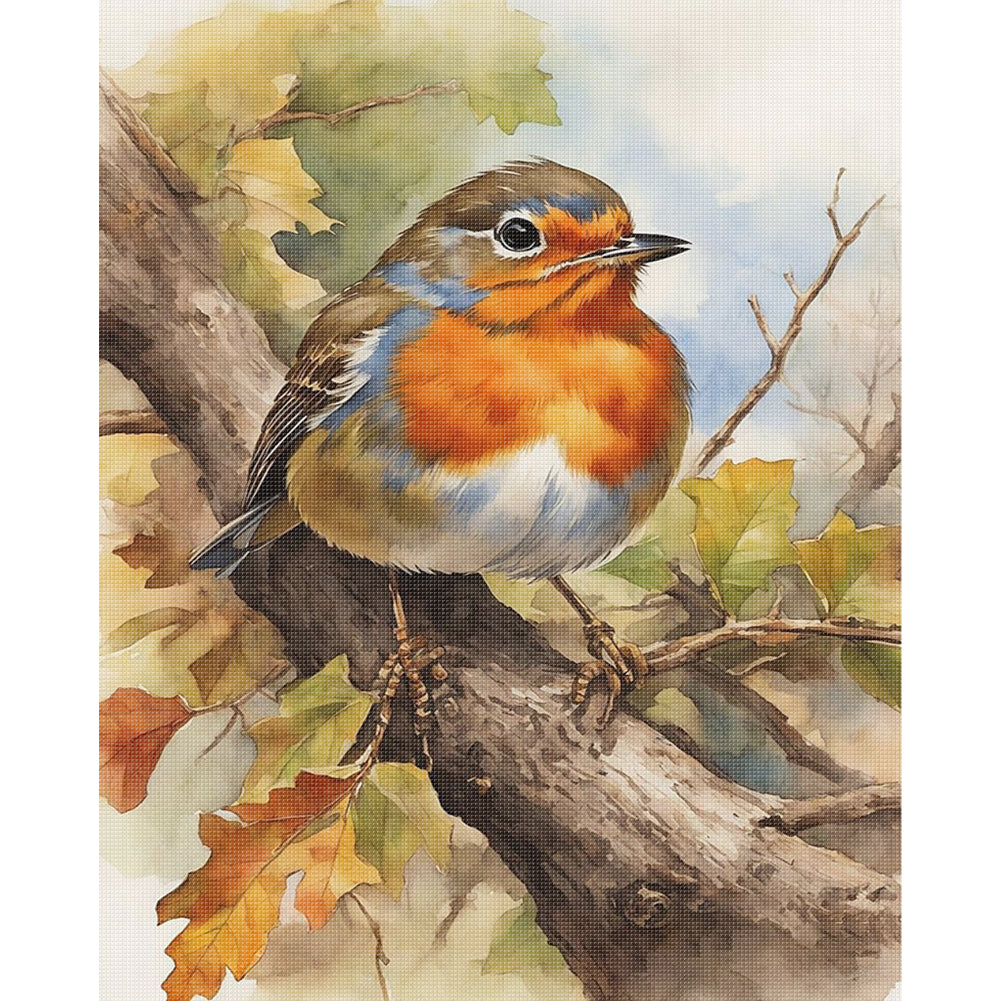 Robin - 11CT Stamped Cross Stitch 40*50CM