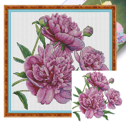 Peony Flower Five - 14CT Stamped Cross Stitch 31*30CM (Joy Sunday)