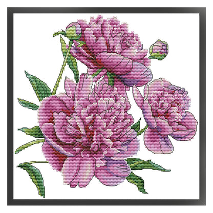 Peony Flower Five - 14CT Stamped Cross Stitch 31*30CM (Joy Sunday)