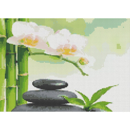 Stone Phalaenopsis Zen - Full Round Drill Diamond Painting 40*30CM