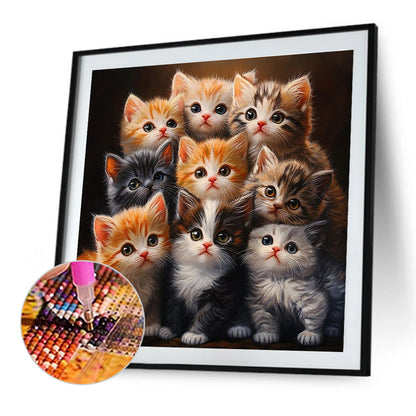 Cat - Full Round Drill Diamond Painting 40*40CM