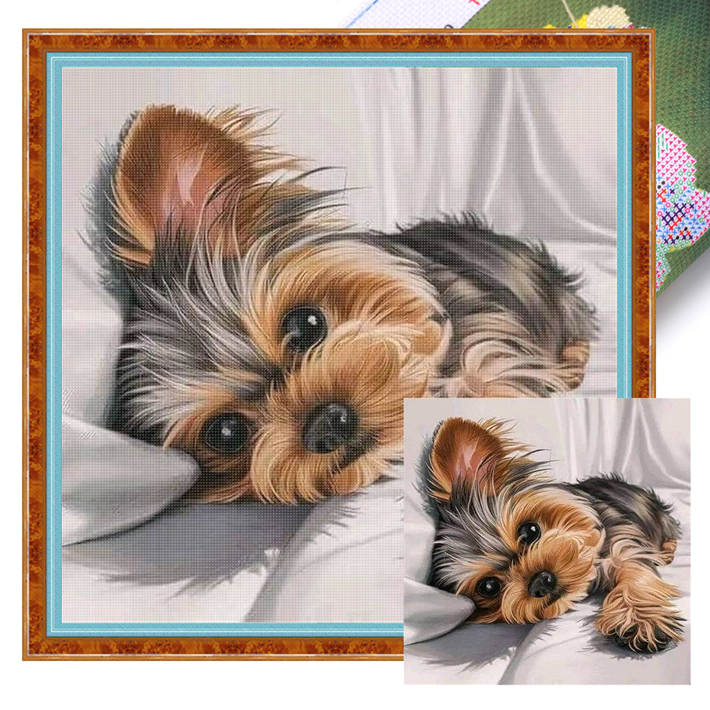 Lying Puppy - 11CT Stamped Cross Stitch 40*40CM