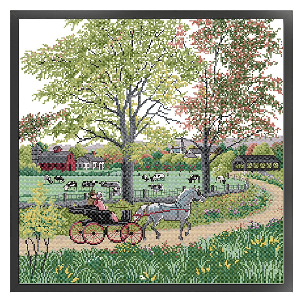 Outing - 14CT Stamped Cross Stitch 45*45CM(Joy Sunday)