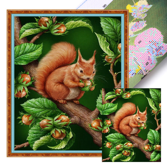 Squirrel On A Branch - 11CT Stamped Cross Stitch 40*50CM