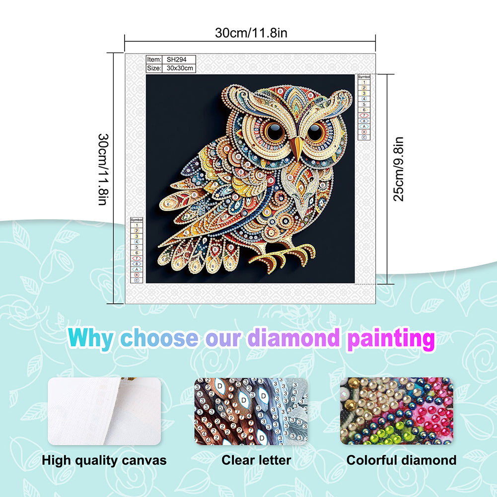 Owl - Special Shaped Drill Diamond Painting 30*30CM