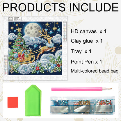 Christmas Sleigh - Special Shaped Drill Diamond Painting 30*30CM