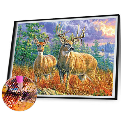 Elk - Full Square Drill Diamond Painting 40*30CM