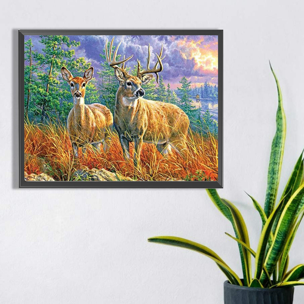 Elk - Full Square Drill Diamond Painting 40*30CM