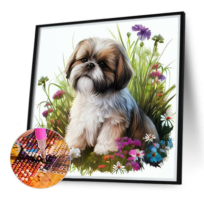 Bichon Frise - Full Round Drill Diamond Painting 40*40CM
