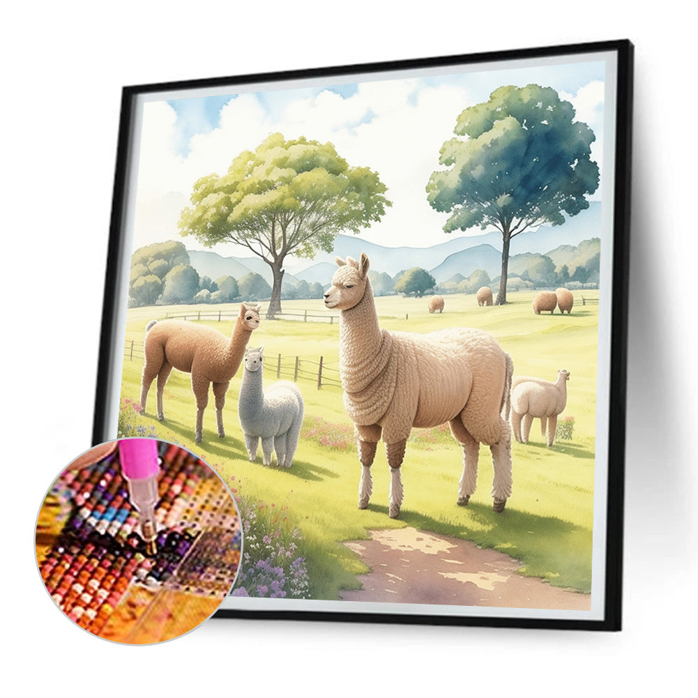 Farm Animals - Full Round Drill Diamond Painting 30*30CM