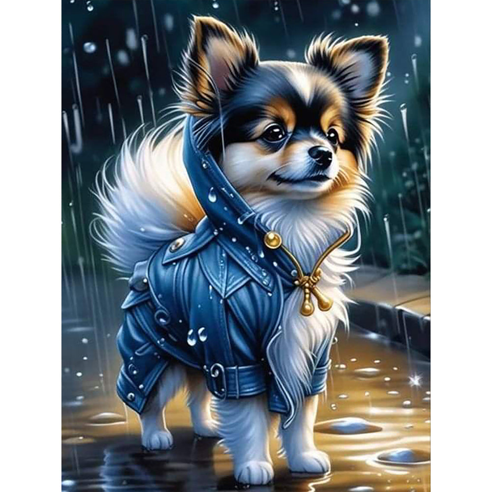 Puppy Wearing Clothes - Full Round Drill Diamond Painting 30*40CM