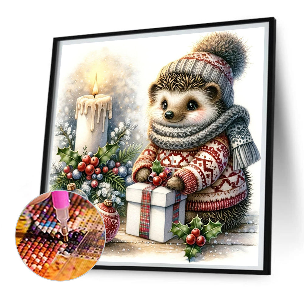 Christmas Gift Hedgehog - Full Square AB Drill Diamond Painting 30*30CM