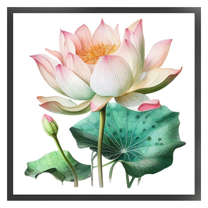 Lotus - 11CT Stamped Cross Stitch 40*40CM