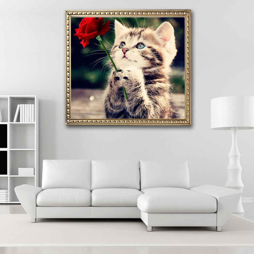 Cat - Special Shaped Drill Diamond Painting 30*30CM