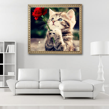 Cat - Special Shaped Drill Diamond Painting 30*30CM