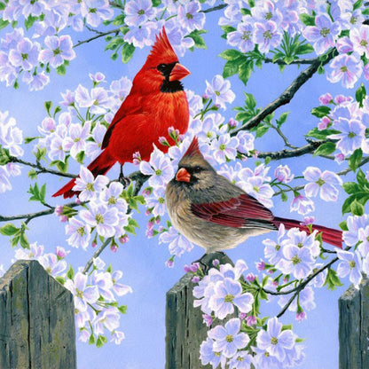 Cardinal - Full Round Drill Diamond Painting 30*30CM