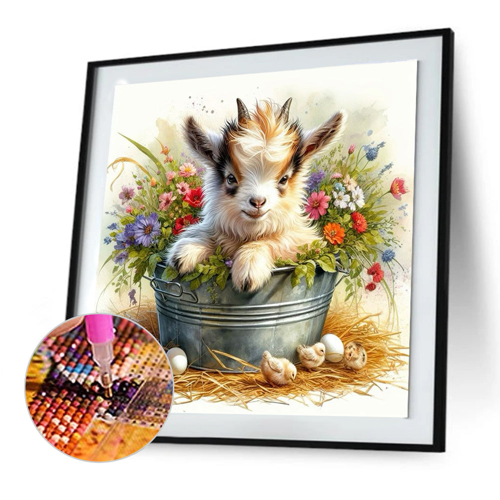 Iron Bucket Lamb - Full Round Drill Diamond Painting 30*30CM