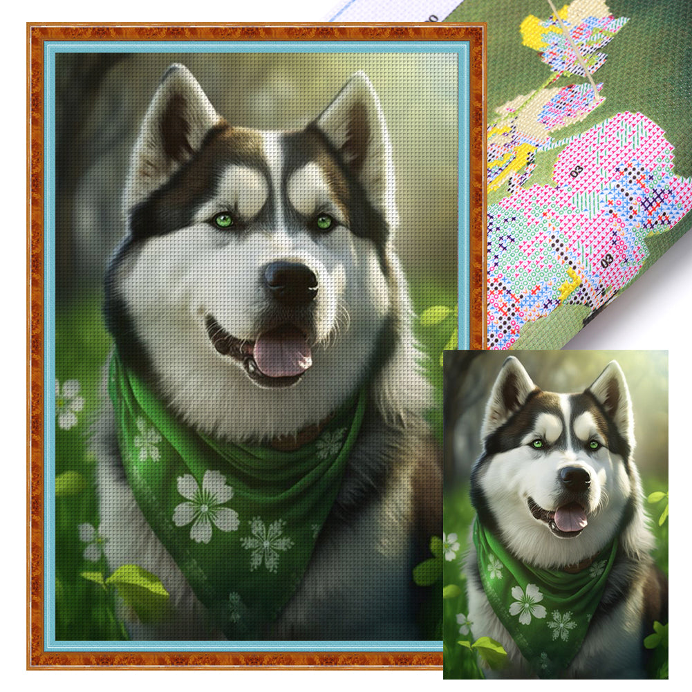 Green Scarf Husky - 11CT Stamped Cross Stitch 40*60CM