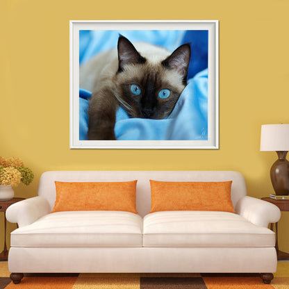 Cat - Full Round Drill Diamond Painting 40*30CM