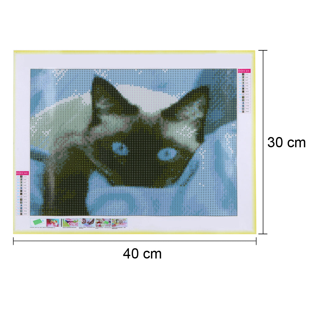Cat - Full Round Drill Diamond Painting 40*30CM