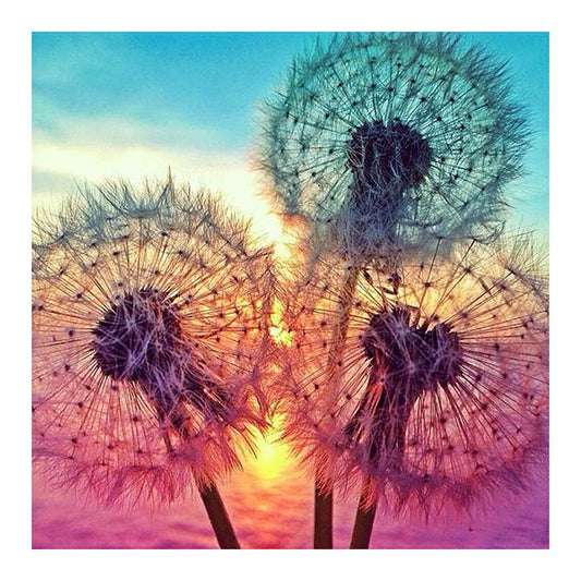 Dandelion - Full Round Drill Diamond Painting 30*30 CM