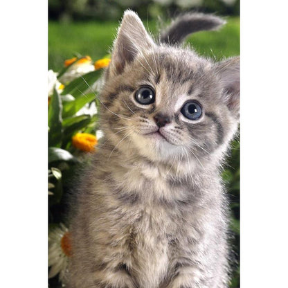 Kitten - Full Round Drill Diamond Painting 30*40CM