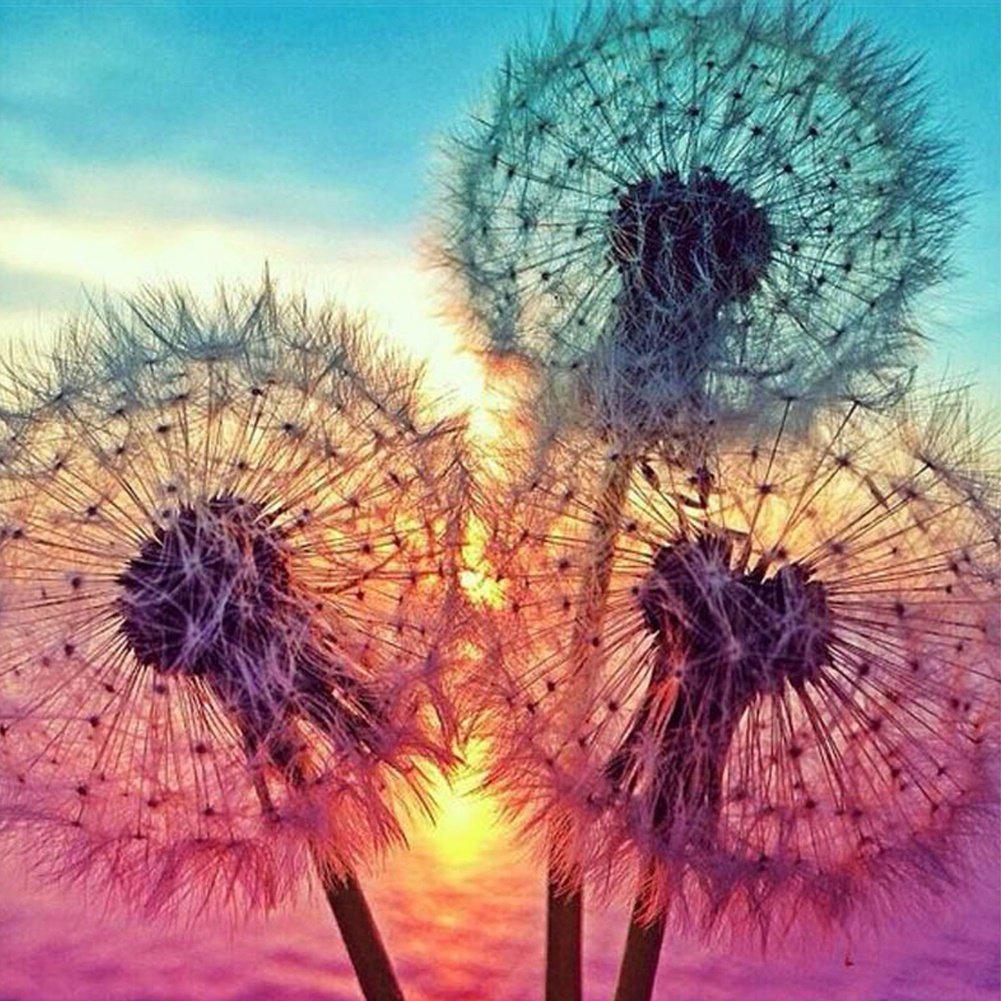 Dandelion - Full Square Drill Diamond Painting 30*30CM