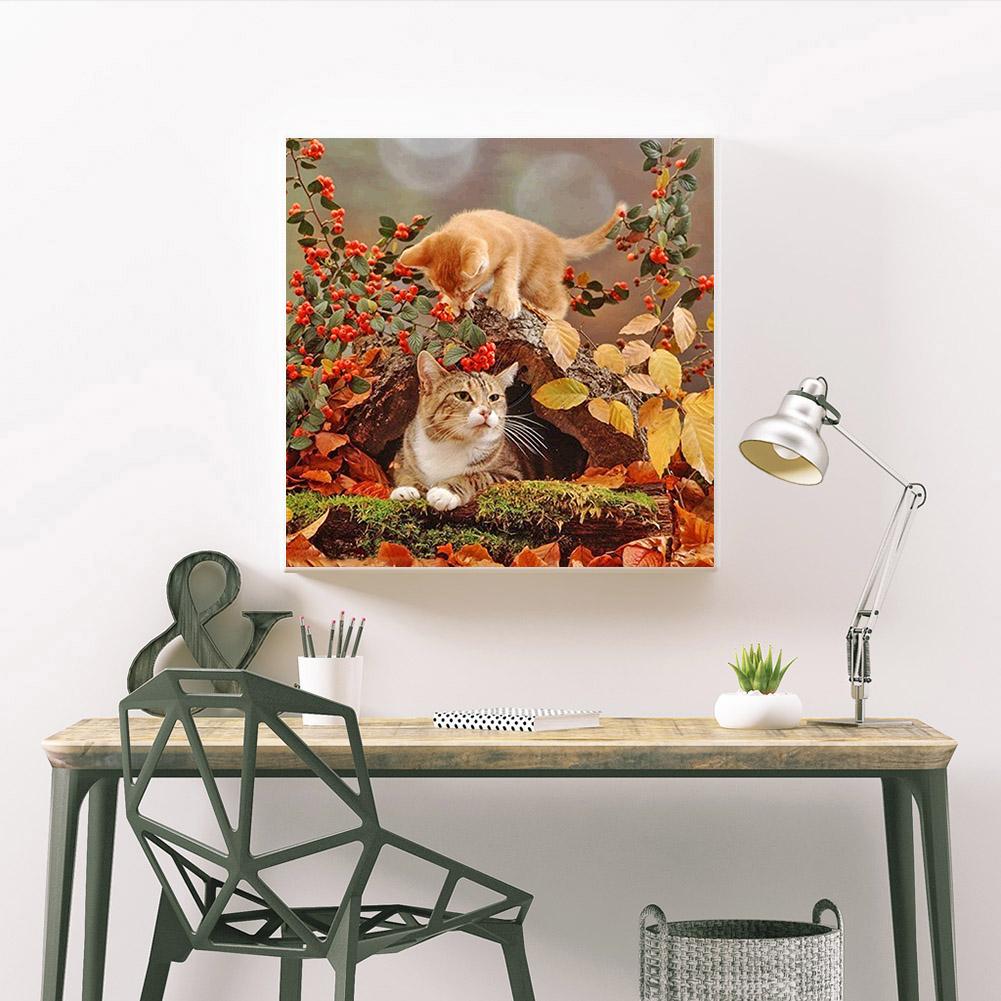 Cat - Full Round Drill Diamond Painting 30*30CM