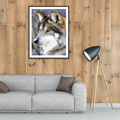 Wolf - Full Round Drill Diamond Painting 30*40CM