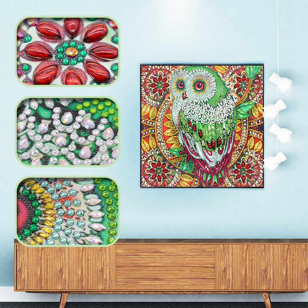 Owl - Special Shaped Drill Diamond Painting 30*30CM